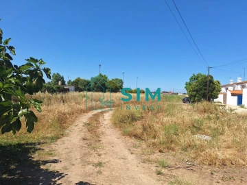 Terreno para Venda em Azinhaga