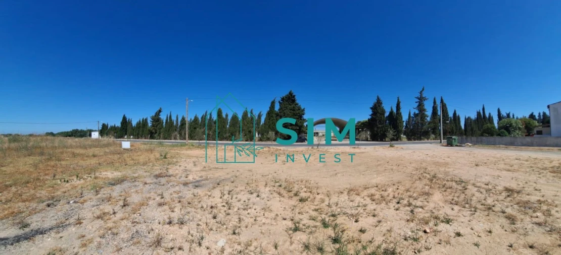 Terreno para Venda em Azinhaga Foto 10