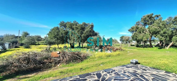 Quinta T2 para Venda em Aguiar