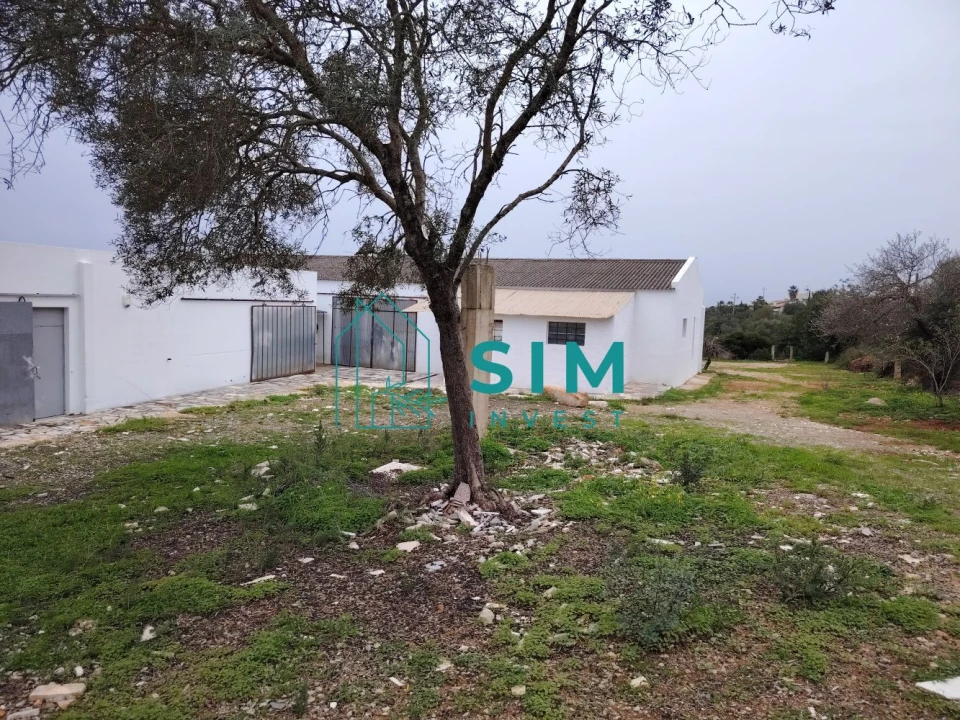 Loja para Venda em Moncarapacho e Fuseta Foto 3