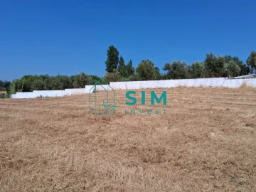 Terreno para Venda em São Pedro de Tomar