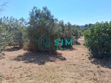 Terreno para Venda em São Pedro de Tomar