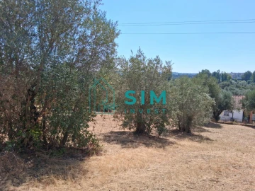 Terreno para Venda em São Pedro de Tomar