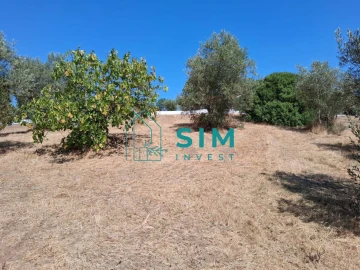 Terreno para Venda em São Pedro de Tomar