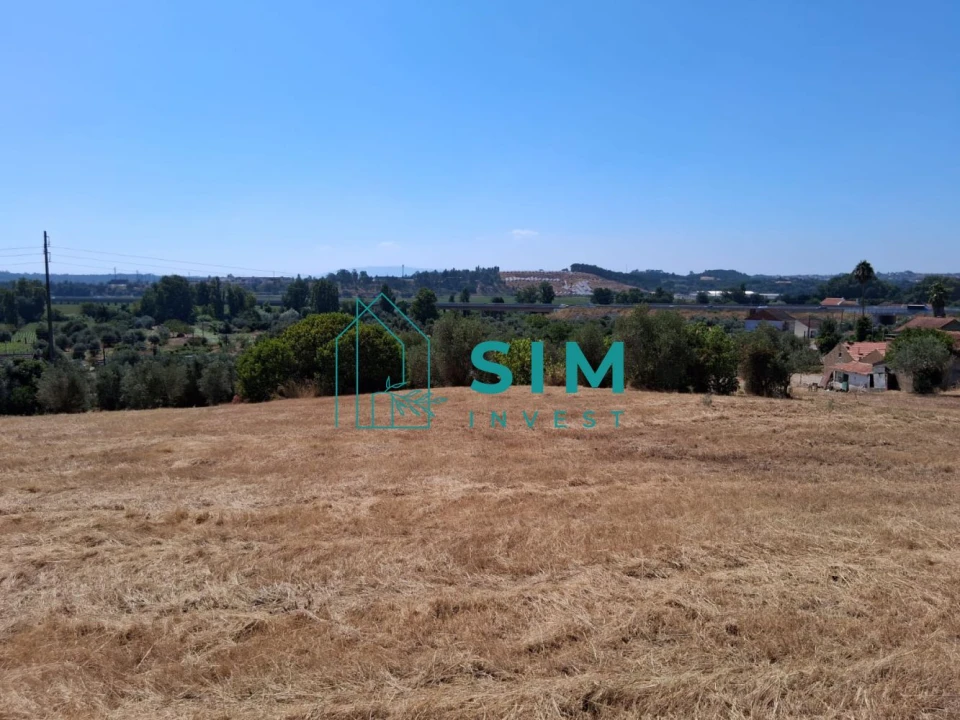 Terreno para Venda em São Pedro de Tomar Foto 9
