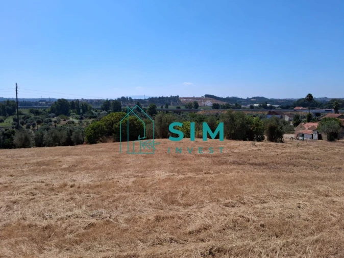 Terreno para Venda em São Pedro de Tomar Foto 9