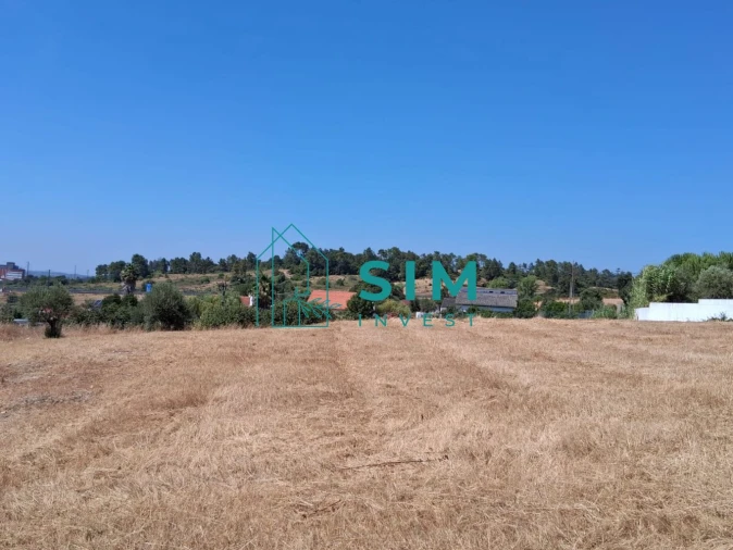 Terreno para Venda em São Pedro de Tomar Foto 5