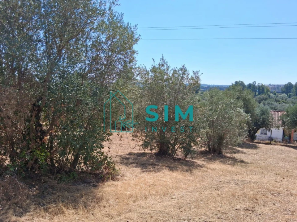 Terreno para Venda em São Pedro de Tomar Foto 1
