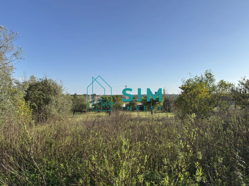 Quinta T10 para Venda em Vendas Novas Foto 58