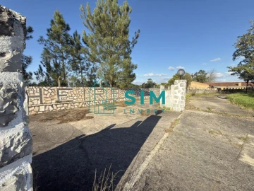 Quinta T10 para Venda em Vendas Novas