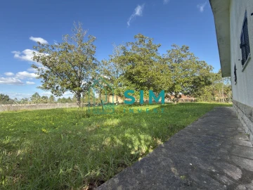 Quinta T10 para Venda em Vendas Novas