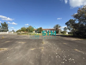 Quinta T10 para Venda em Vendas Novas