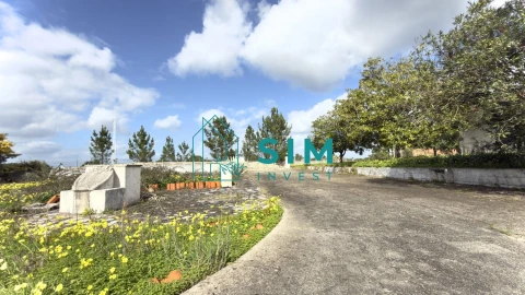 Quinta T10 para Venda em Vendas Novas