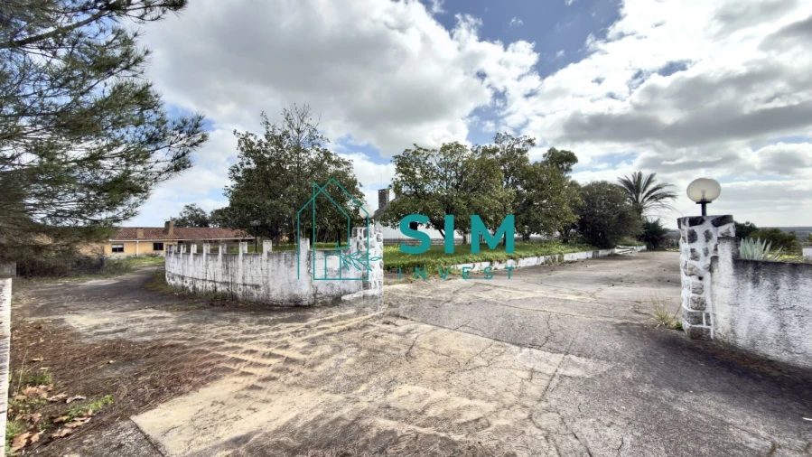 Quinta T10 para Venda em Vendas Novas Foto 5