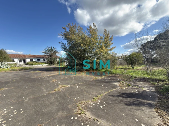 Quinta T10 para Venda em Vendas Novas Foto 2