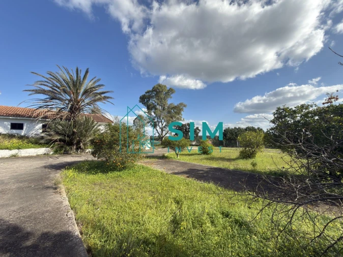 Quinta T10 para Venda em Vendas Novas Foto 40