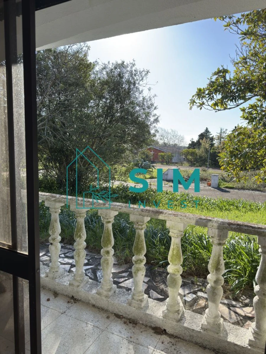 Quinta T10 para Venda em Vendas Novas Foto 25