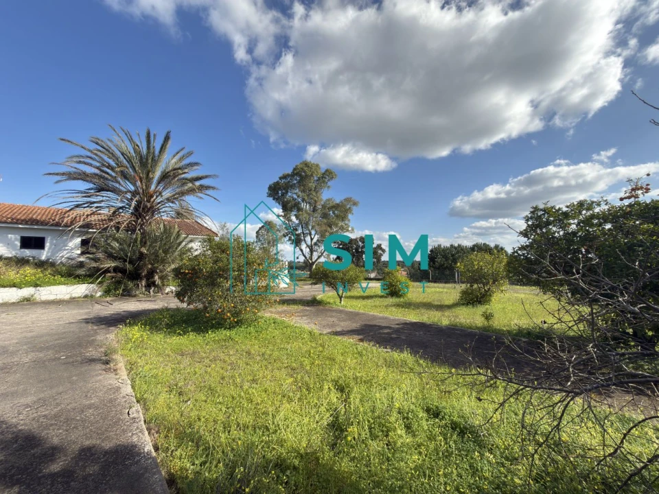 Quinta T10 para Venda em Vendas Novas Foto 40