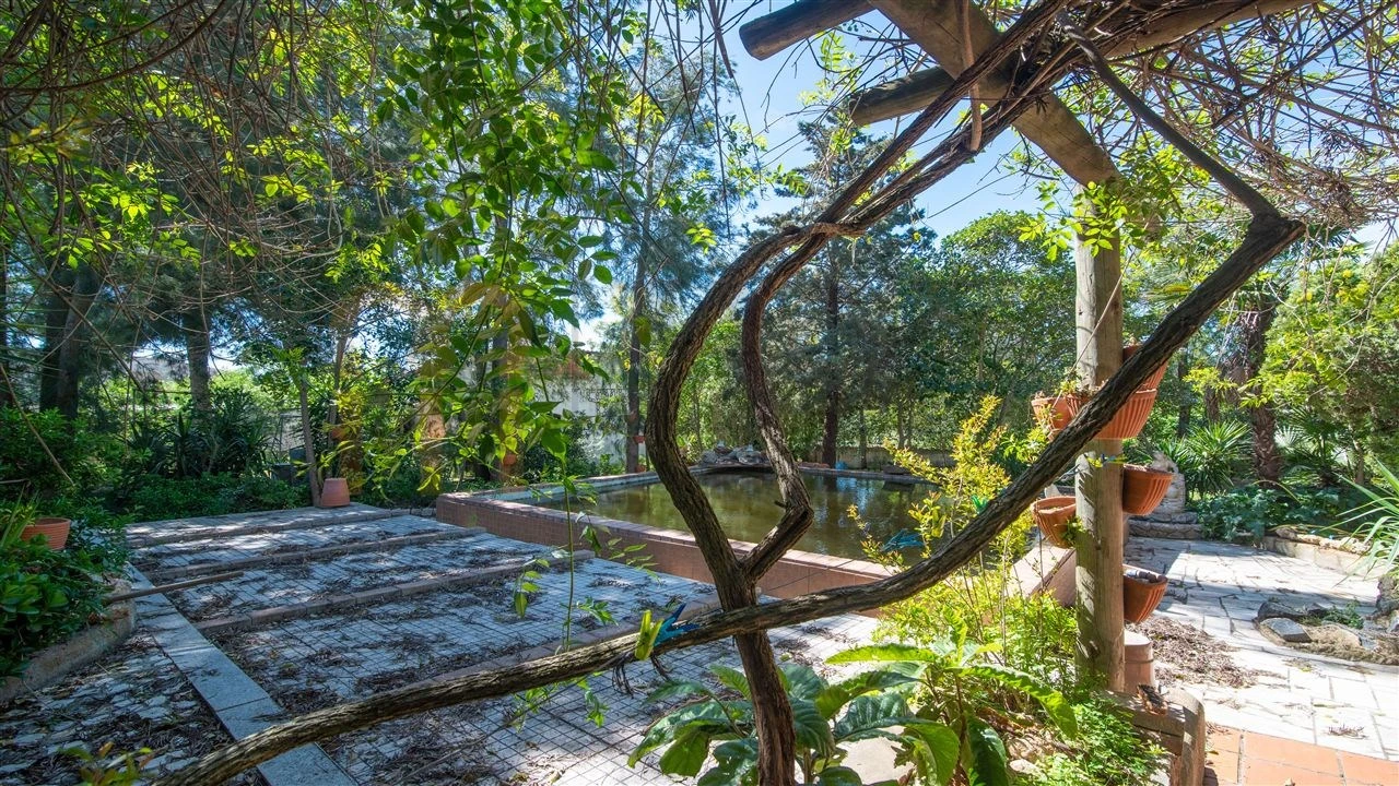 Quinta T3 para Venda em Vila Verde de Ficalho Foto 20