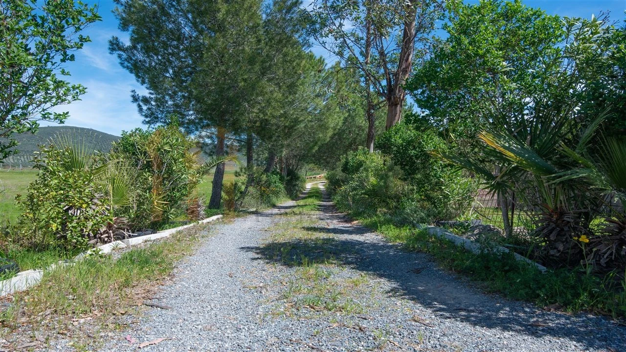 Quinta T3 para Venda em Vila Verde de Ficalho Foto 27