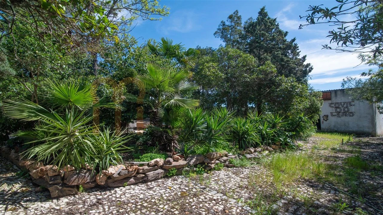 Quinta T3 para Venda em Vila Verde de Ficalho Foto 28