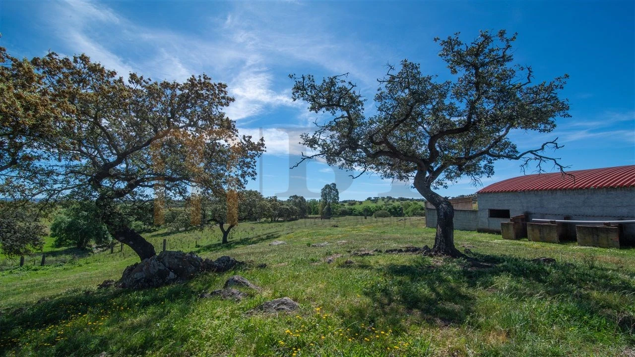 Quinta T3 para Venda em Vila Verde de Ficalho Foto 29