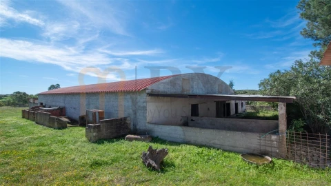 Quinta T3 para Venda em Vila Verde de Ficalho