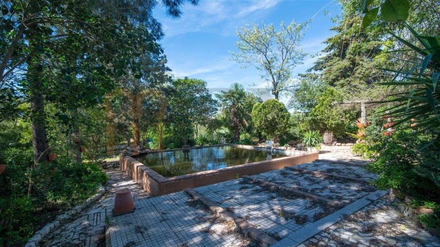 Quinta T3 para Venda em Vila Verde de Ficalho Foto 19