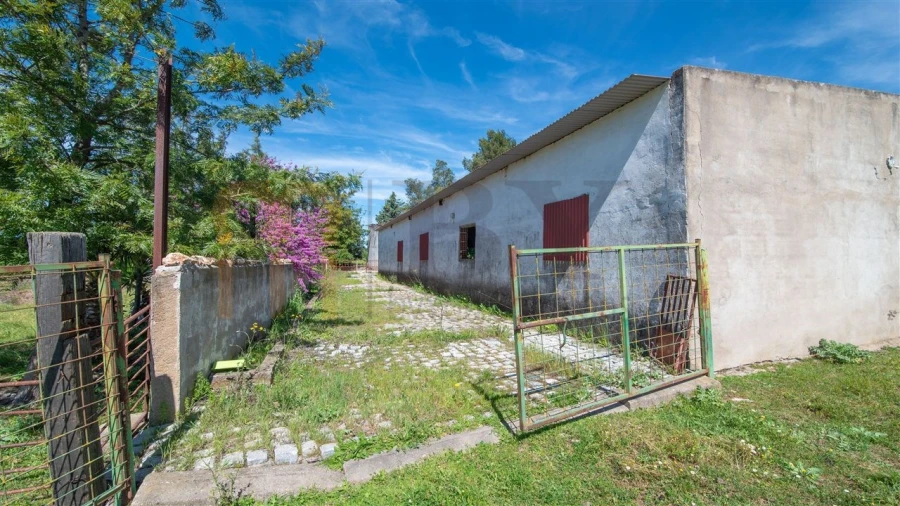 Quinta T3 para Venda em Vila Verde de Ficalho Foto 23