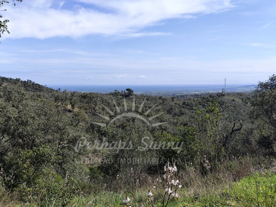 Terreno Agricola ou Rústico para Venda em Grândola e Santa Margarida da Serra Foto 1