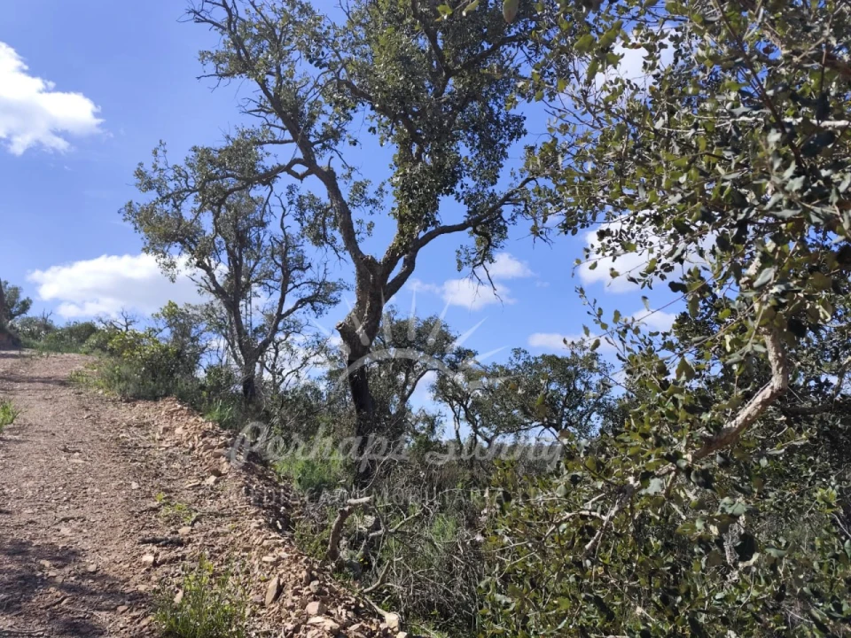 Terreno Agricola ou Rústico para Venda em Grândola e Santa Margarida da Serra Foto 12