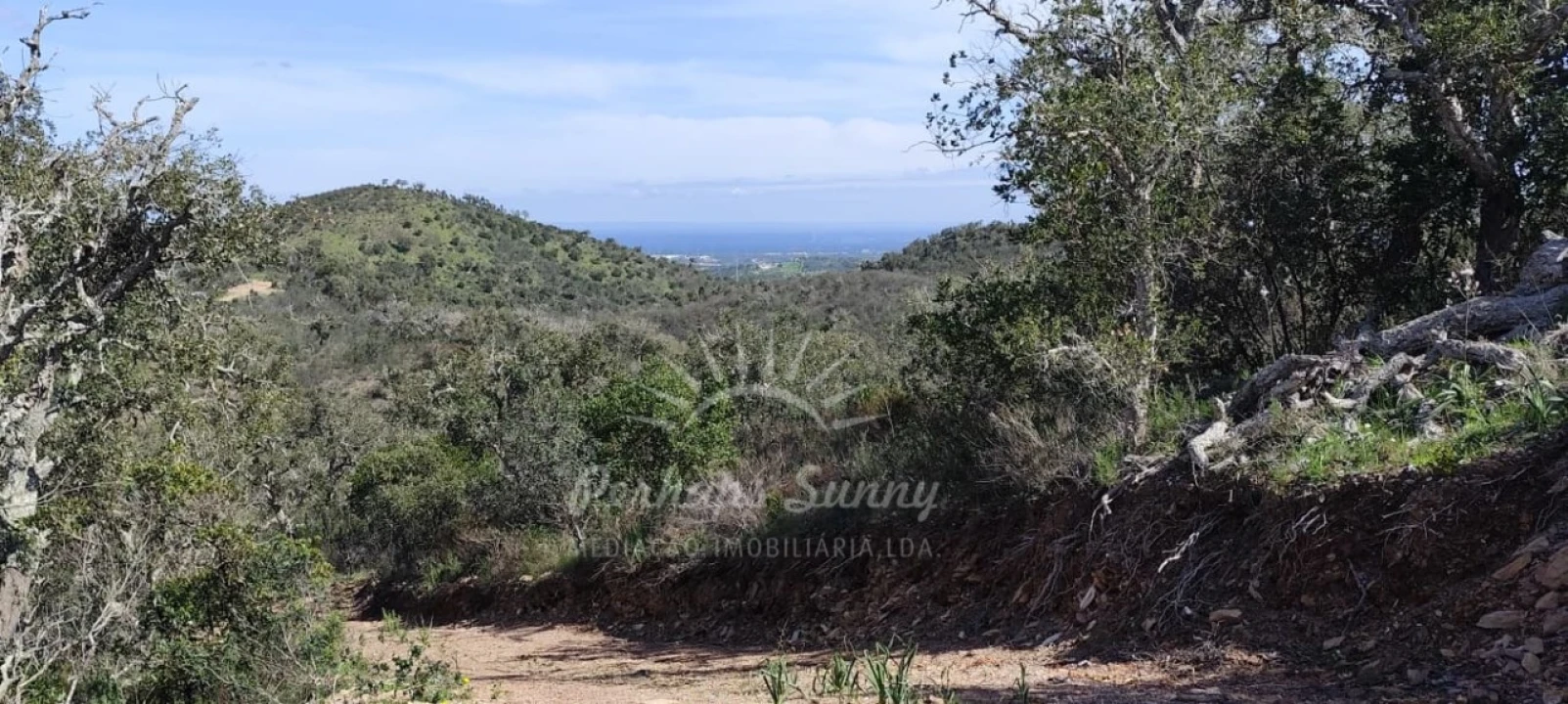 Terreno Agricola ou Rústico para Venda em Grândola e Santa Margarida da Serra Foto 13