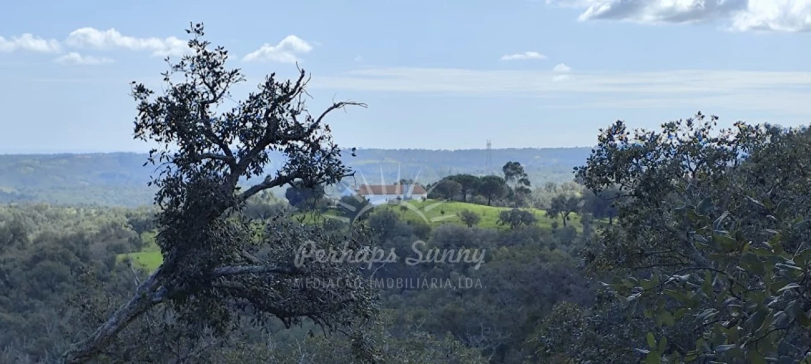 Terreno Agricola ou Rústico para Venda em Grândola e Santa Margarida da Serra Foto 17
