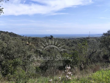 Terreno Agricola ou Rústico para Venda em Grândola e Santa Margarida da Serra