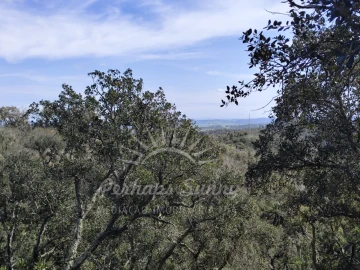 Terreno Agricola ou Rústico para Venda em Grândola e Santa Margarida da Serra