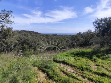Terreno Agricola ou Rústico para Venda em Grândola e Santa Margarida da Serra