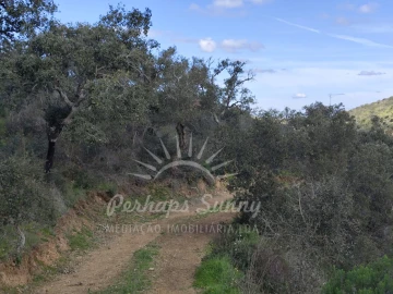 Terreno Agricola ou Rústico para Venda em Grândola e Santa Margarida da Serra