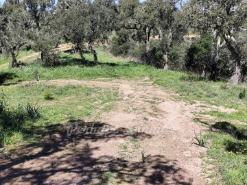 Terreno Agricola ou Rústico para Venda em Grândola e Santa Margarida da Serra