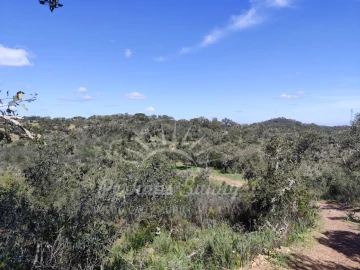 Terreno Agricola ou Rústico para Venda em Grândola e Santa Margarida da Serra