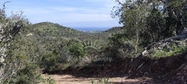 Terreno Agricola ou Rústico para Venda em Grândola e Santa Margarida da Serra