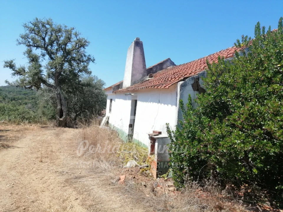 Terreno Misto para Venda em São Francisco da Serra Foto 3