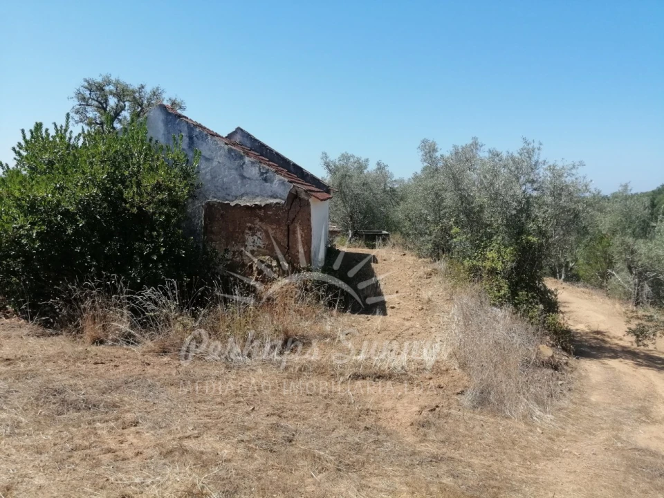 Terreno Misto para Venda em São Francisco da Serra Foto 4