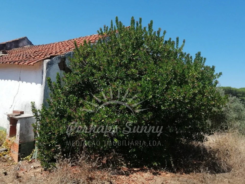 Terreno Misto para Venda em São Francisco da Serra Foto 5