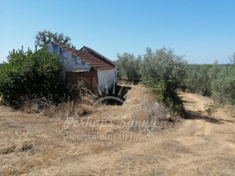 Terreno Misto para Venda em São Francisco da Serra Foto 7