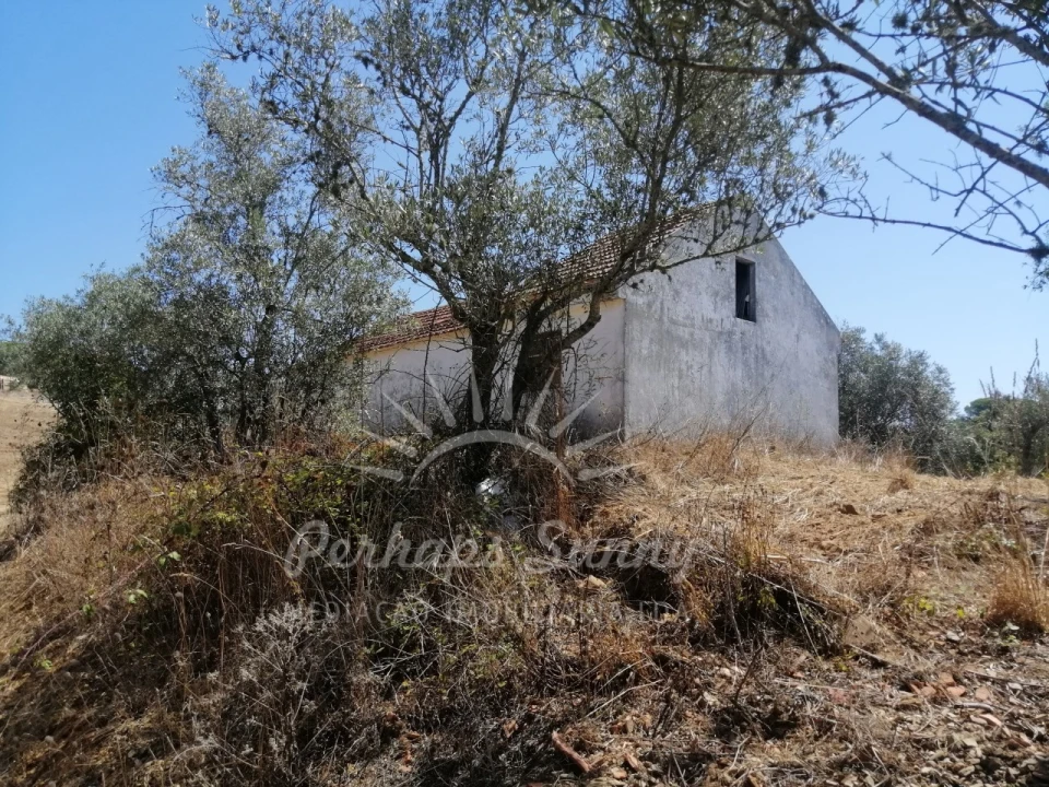 Terreno Misto para Venda em São Francisco da Serra Foto 8