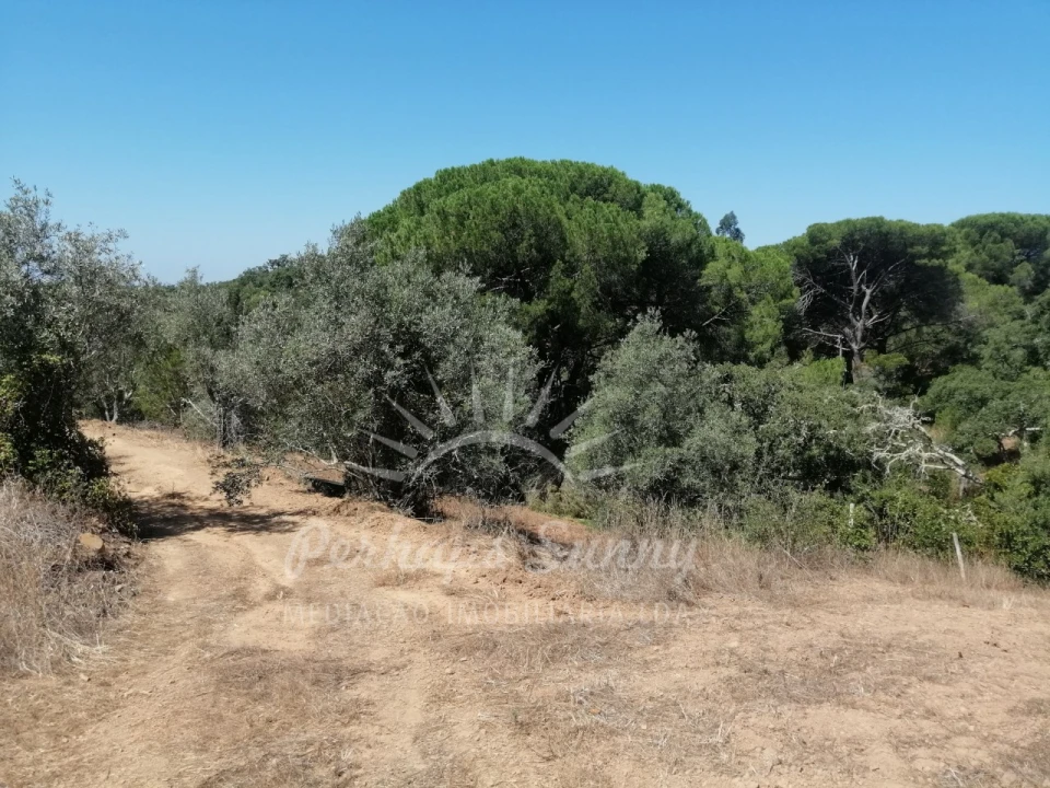 Terreno Misto para Venda em São Francisco da Serra Foto 10