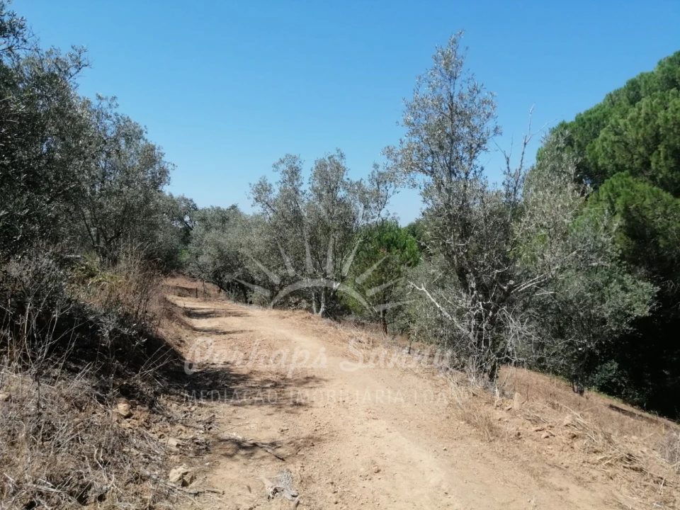 Terreno Misto para Venda em São Francisco da Serra Foto 11