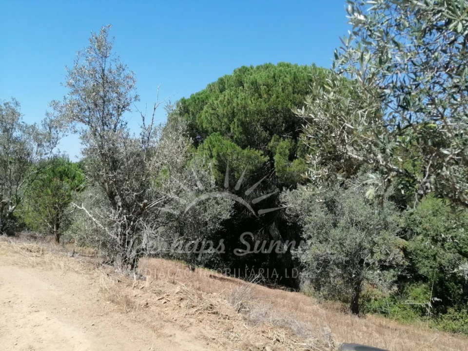 Terreno Misto para Venda em São Francisco da Serra Foto 12