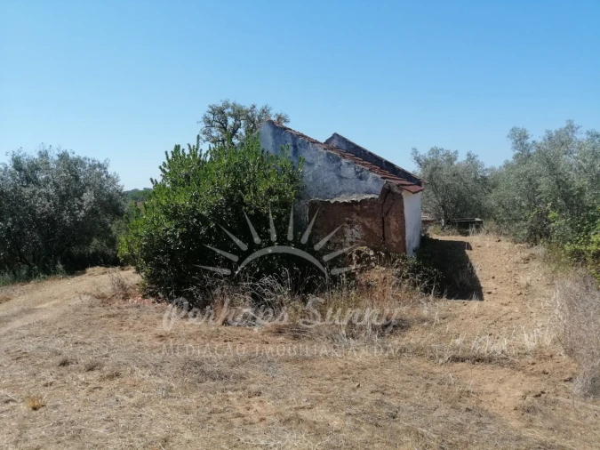 Terreno Misto para Venda em São Francisco da Serra Foto 6