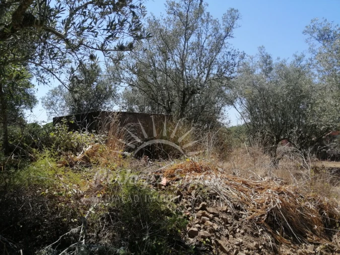 Terreno Misto para Venda em São Francisco da Serra Foto 9